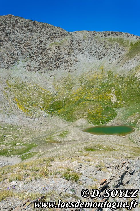 Photo n°201507022
Lacs de l'Eychassier (2815m) (Queyras, Hautes-Alpes)
Cliché Dominique SOYEZ
Copyright Reproduction interdite sans autorisation