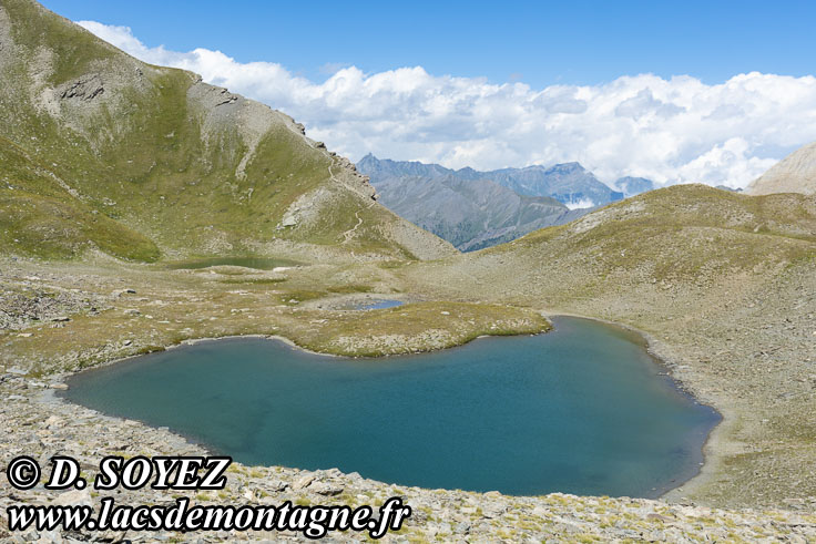 Photo n°202107139
Lacs de l'Eychassier (2815m) (Queyras, Hautes-Alpes)
Cliché Dominique SOYEZ
Copyright Reproduction interdite sans autorisation