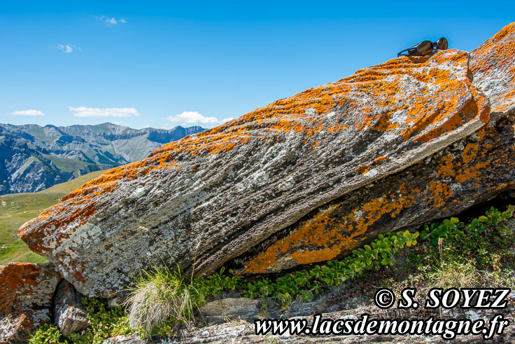 Photo n201707131
Plissement dune roche (Queyras) (Hautes-Alpes)
Clich Serge SOYEZ
Copyright Reproduction interdite sans autorisation