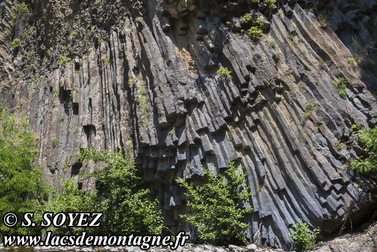 Photo n°202605001
Cliché Serge SOYEZ
Copyright Reproduction interdite sans autorisation Photo n°202605001
Orgues volcaniques de Jaujac (379m) (Jaujac, Vivarais, Ardèche)
Cliché Serge SOYEZ
Copyright Reproduction interdite sans autorisation