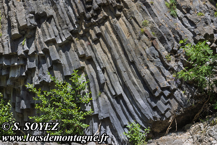 Photo n°202605005
Cliché Serge SOYEZ
Copyright Reproduction interdite sans autorisation Photo n°202605005
Orgues volcaniques de Jaujac (379m) (Jaujac, Vivarais, Ardèche)
Cliché Serge SOYEZ
Copyright Reproduction interdite sans autorisation