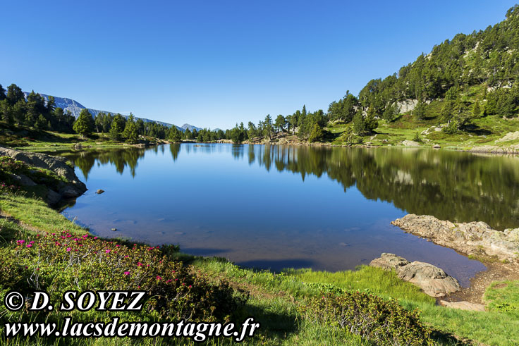 Photo n°202206001
Lac Achard (1920m) (Belledonne, Isère)
Cliché Dominique SOYEZ
Copyright Reproduction interdite sans autorisation