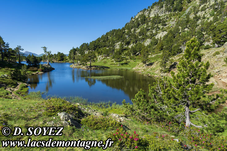 Photo n°202206003
Lac Achard (1920m) (Belledonne, Isère)
Cliché Dominique SOYEZ
Copyright Reproduction interdite sans autorisation