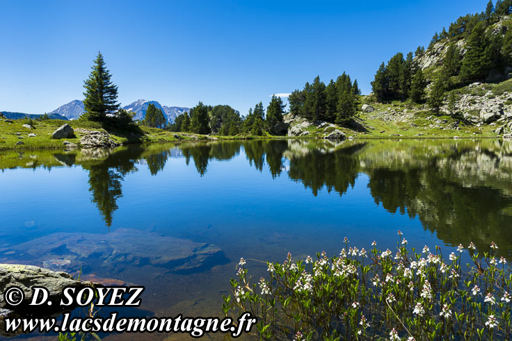 Photo n202206008
Lac Achard (1920m) (Belledonne, Isre)
Clich Dominique SOYEZ
Copyright Reproduction interdite sans autorisation