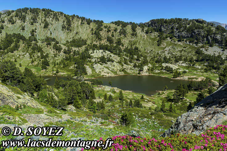 Photo n202206013
Lac Achard (1920m) (Belledonne, Isre)
Clich Dominique SOYEZ
Copyright Reproduction interdite sans autorisation