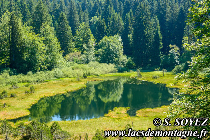 Photo n201806004
Lac-tourbire Luitel (1250m) (Belledonne, Isre)
Clich Serge SOYEZ
Copyright Reproduction interdite sans autorisation