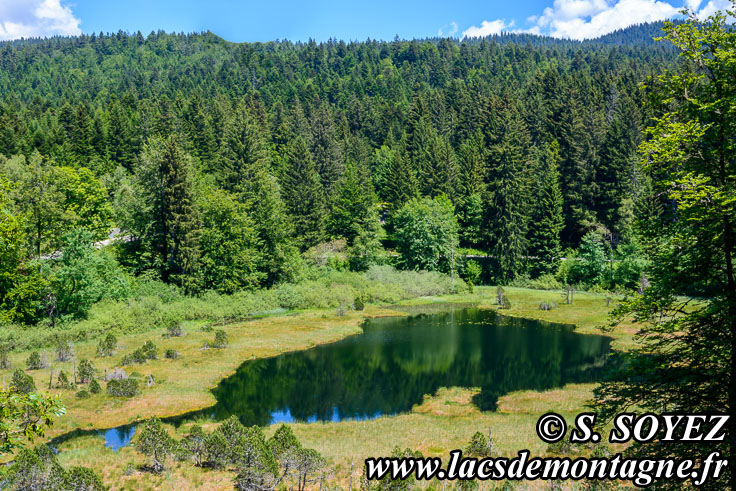 Photo n201806007
Lac-tourbire Luitel (1250m) (Belledonne, Isre)
Clich Serge SOYEZ
Copyright Reproduction interdite sans autorisation