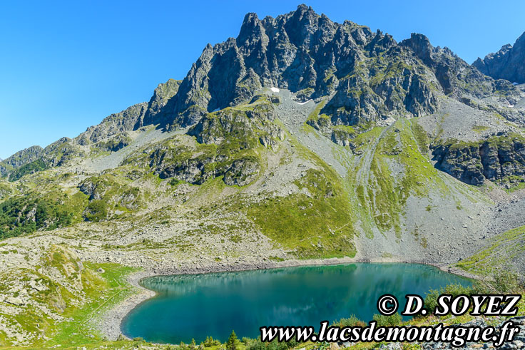 Photo n201908078
Lac de Crop (1906m) (Belledonne, Isre)
Clich Dominique SOYEZ
Copyright Reproduction interdite sans autorisation