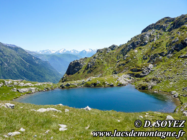 Lac de la Coche (1968m) (Belledonne, Isre)
Photo nP1010269
Clich Dominique SOYEZ
Copyright Reproduction interdite sans autorisation