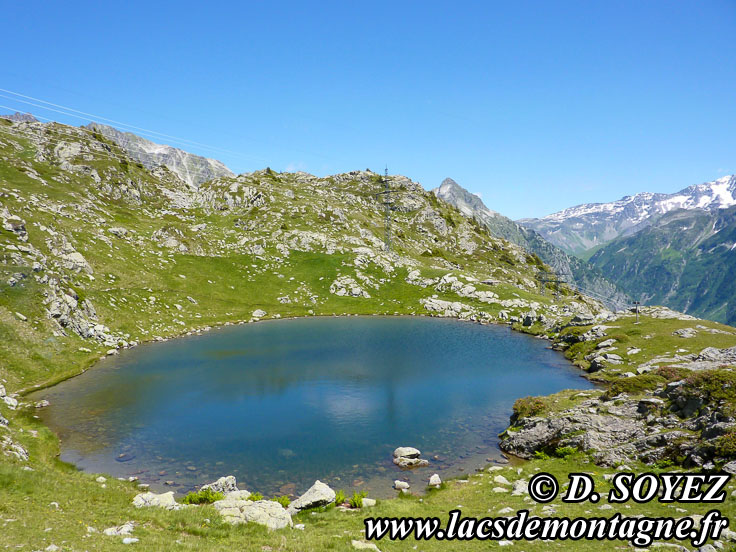 Lac de la Coche (1968m) (Belledonne, Isre)
Photo nP1010281
Clich Dominique SOYEZ
Copyright Reproduction interdite sans autorisation