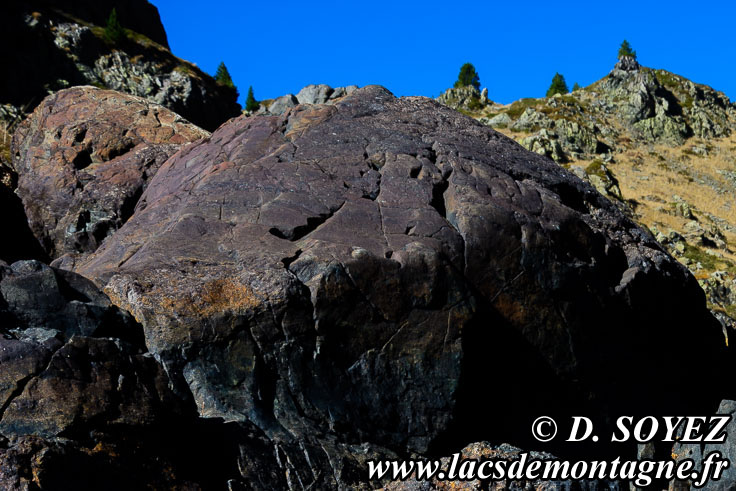 Photo n201710012
Serpentinites aux lacs Robert (1998m) (Belledonne, Isre)
Clich Dominique SOYEZ
Copyright Reproduction interdite sans autorisation