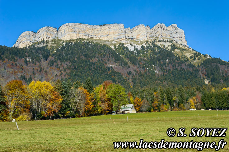 Photo n201411015
Face SUD-EST de Chamechaude (2082m)
(Chartreuse, Isre)
Clich Serge SOYEZ
Copyright Reproduction interdite sans autorisation