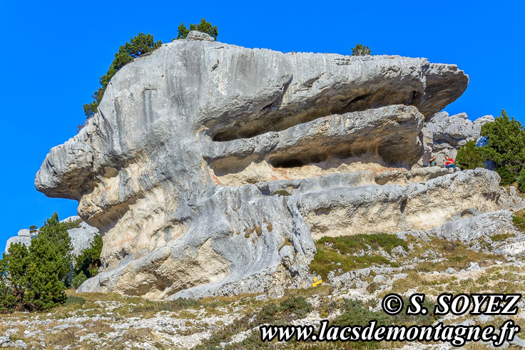 Photo n201511027
Monolithe de la Folatire (1788m),
Chamechaude, Chartreuse, Isre
Clich Serge SOYEZ
Copyright Reproduction interdite sans autorisation