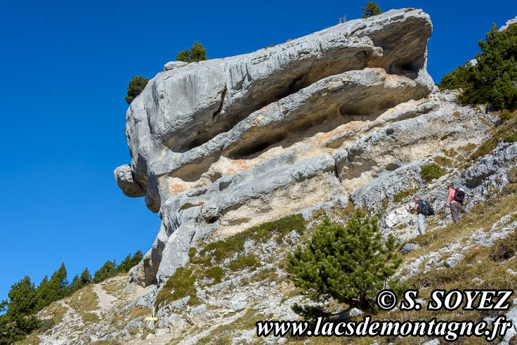 Photo n201511028
Monolithe de la Folatire (1788m),
Chamechaude, Chartreuse, Isre
Clich Serge SOYEZ
Copyright Reproduction interdite sans autorisation