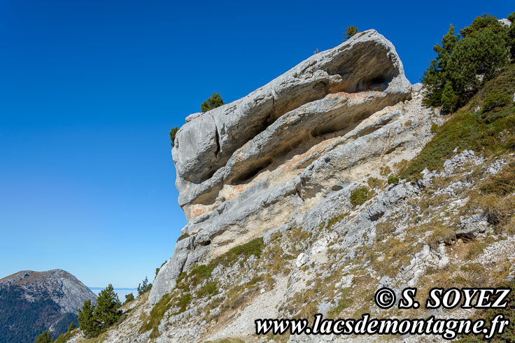 Photo n201511029
Monolithe de la Folatire (1788m),
Chamechaude, Chartreuse, Isre
Clich Serge SOYEZ
Copyright Reproduction interdite sans autorisation