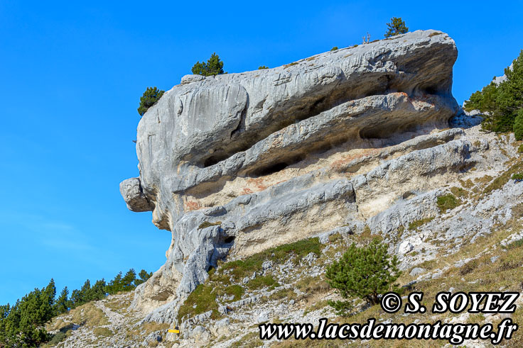 Photo n201511033
Monolithe de la Folatire (1788m),
Chamechaude, Chartreuse, Isre
Clich Serge SOYEZ
Copyright Reproduction interdite sans autorisation