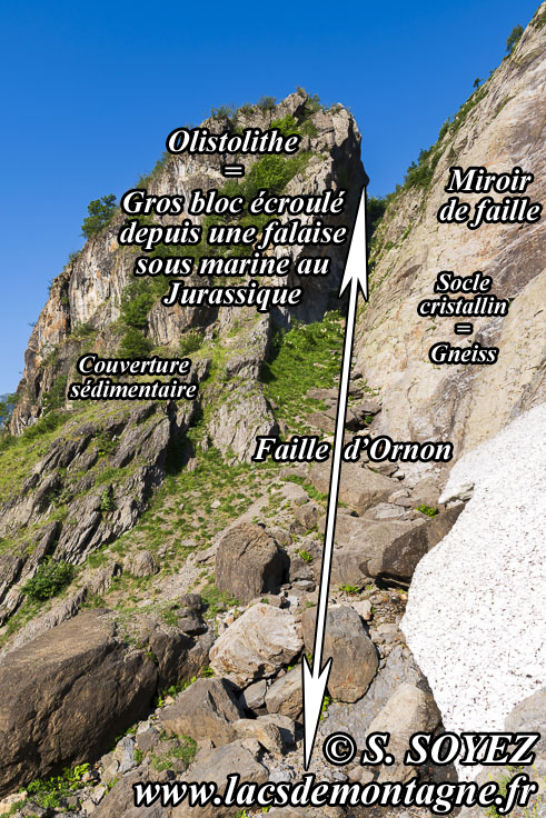 Photo n°202506005
Cliché Serge SOYEZ
Copyright Reproduction interdite sans autorisation Photo n°202506005
Faille d'Ornon (1208m) (Col d'Ornon, Chalp de Chantelouve, Isère)
Cliché Serge SOYEZ
Copyright Reproduction interdite sans autorisation