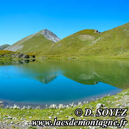 Photo n201608034
Lac Labarre (2393m) (Oisans) (crins) (Isre)
Clich Dominique SOYEZ
Copyright Reproduction interdite sans autorisation