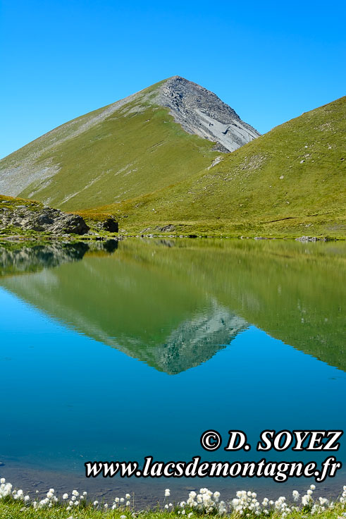 Photo n201608035
Lac Labarre (2393m) (Oisans) (crins) (Isre)
Clich Dominique SOYEZ
Copyright Reproduction interdite sans autorisation