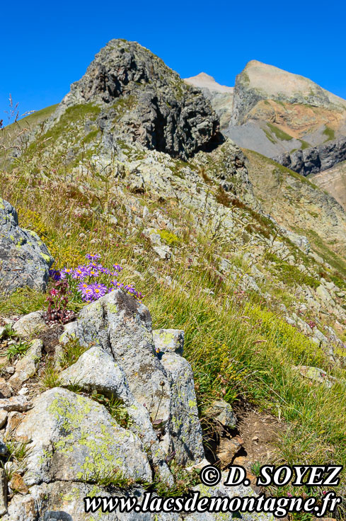 Photo n201408007
Lac de Plan Vianney (2250m) (Oisans, crins, Isre)
Clich Dominique SOYEZ
Copyright Reproduction interdite sans autorisation