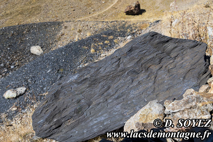 Photo n�202510055
Mines d�anthracite de l�Herpie (2250m) (Alpes-d'Huez, Combe Charbonni�re, Les Grandes Rousses Is�re)
Clich� Dominique SOYEZ
Copyright Reproduction interdite sans autorisation