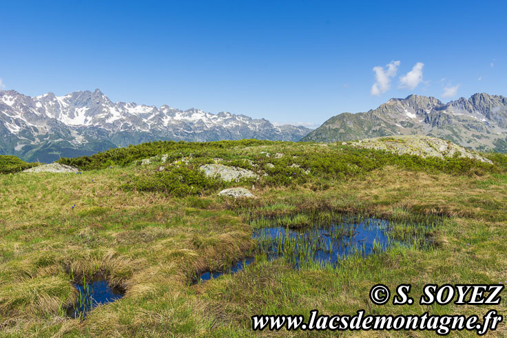 Photo n202205006
Lac Carrelet et sa tourbire (2013m) (Les Grandes Rousses, Isre)
Clich Serge SOYEZ
Copyright Reproduction interdite sans autorisation