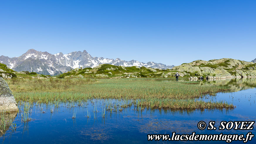 Photo n202205003_prime
Lac Faucille et sa tourbire (2063m) (Les Grandes Rousses, Isre)
Clich Serge SOYEZ
Copyright Reproduction interdite sans autorisation