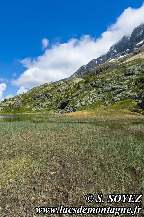 Photo n202205011
Lac Faucille et sa tourbire (2063m) (Les Grandes Rousses, Isre)
Clich Serge SOYEZ
Copyright Reproduction interdite sans autorisation