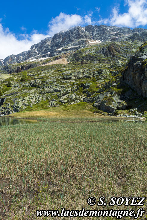 Photo n202205012
Lac Faucille et sa tourbire (2063m) (Les Grandes Rousses, Isre)
Clich Serge SOYEZ
Copyright Reproduction interdite sans autorisation