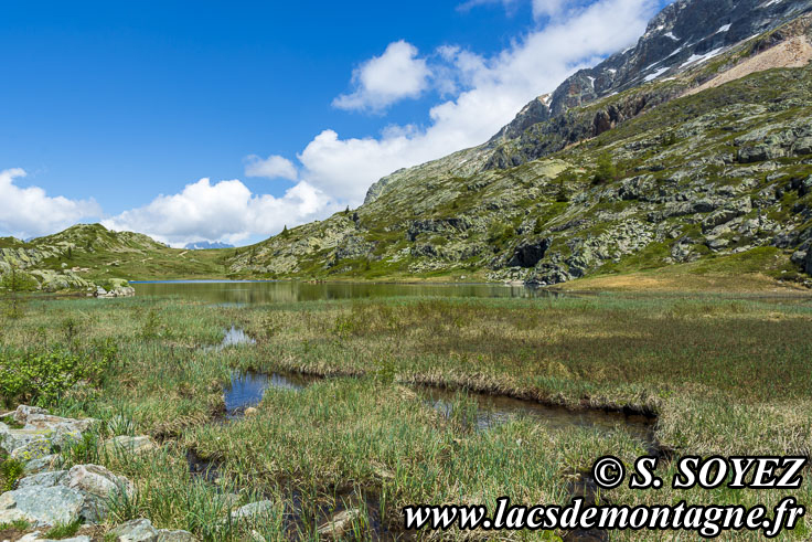 Photo n202205013
Lac Faucille et sa tourbire (2063m) (Les Grandes Rousses, Isre)
Clich Serge SOYEZ
Copyright Reproduction interdite sans autorisation