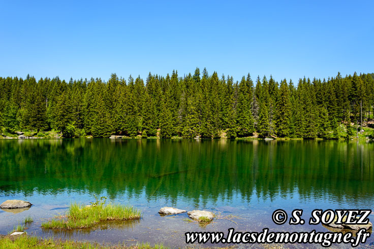 Photo n201806009
Lac de Poursollet (1644m) (Taillefer, Isre)
Clich Serge SOYEZ
Copyright Reproduction interdite sans autorisation