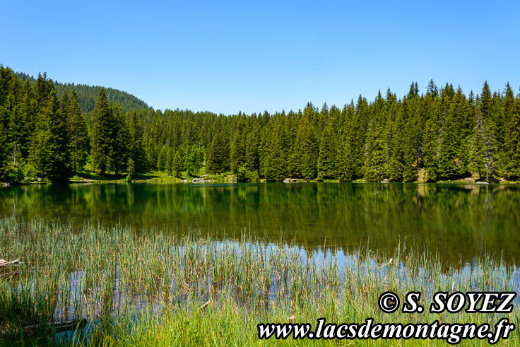 Photo n201806010
Lac de Poursollet (1644m) (Taillefer, Isre)
Clich Serge SOYEZ
Copyright Reproduction interdite sans autorisation