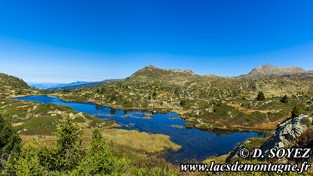 Lac Canard (2038m)
(Le Taillefer, Isre)
Clich Dominique SOYEZ
Copyright Reproduction interdite sans autorisation