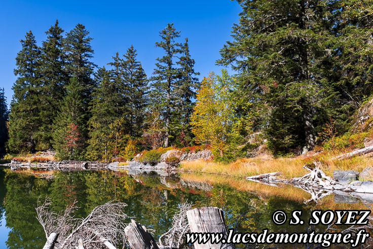 Photo n202310013
Lac Claret du Taillefer (1699m) (Taillefer, Isre)
Clich Serge SOYEZ
Copyright Reproduction interdite sans autorisation