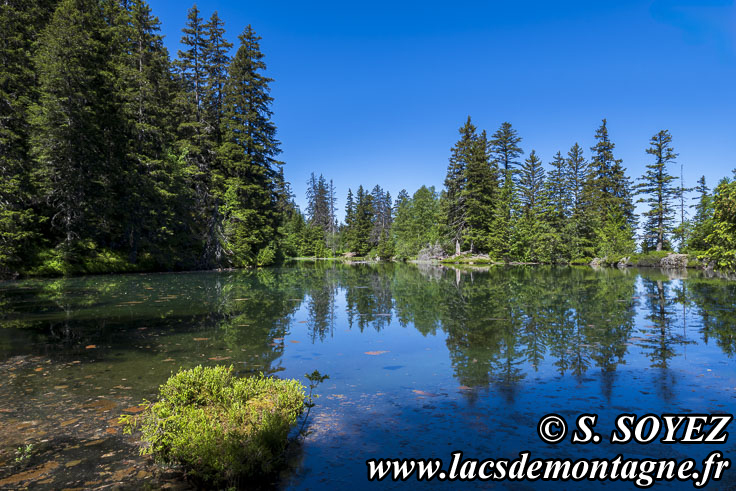 Photo n�202606001
Lac Claret du Taillefer (1699m) (Taillefer, Is�re)
Clich� Serge SOYEZ
Copyright Reproduction interdite sans autorisation