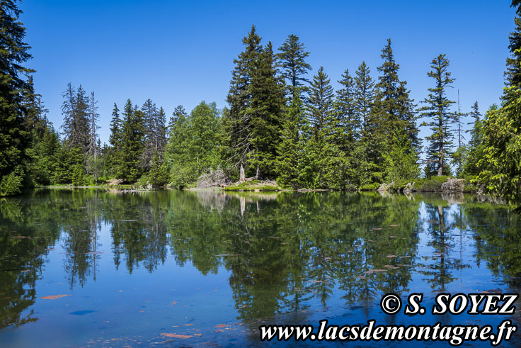 Photo n�202606002
Lac Claret du Taillefer (1699m) (Taillefer, Is�re)
Clich� Serge SOYEZ
Copyright Reproduction interdite sans autorisation