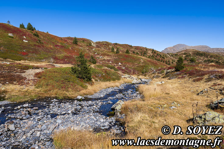 Photo n202510011
Lac Culasson (2050m) (Taillefer, Isre)
Clich Dominique SOYEZ
Copyright Reproduction interdite sans autorisation