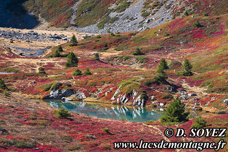 Lac Culasson (2050m)
(Le Taillefer, Is�re)
Clich� Dominique SOYEZ
Copyright Reproduction interdite sans autorisation