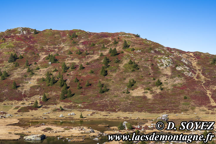 Photo n°202510018
Cliché Dominique SOYEZ
Copyright Reproduction interdite sans autorisation Photo n°202510018
Lac Noir (2040m) (Le Taillefer, Isère)
Cliché Dominique SOYEZ
Copyright Reproduction interdite sans autorisation