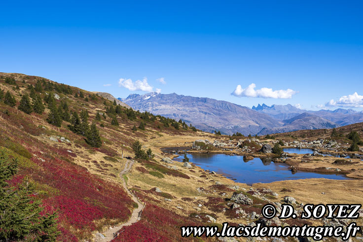 Photo n202510026
Lac Noir (2040m) (Le Taillefer, Isre)
Clich Dominique SOYEZ
Copyright Reproduction interdite sans autorisation