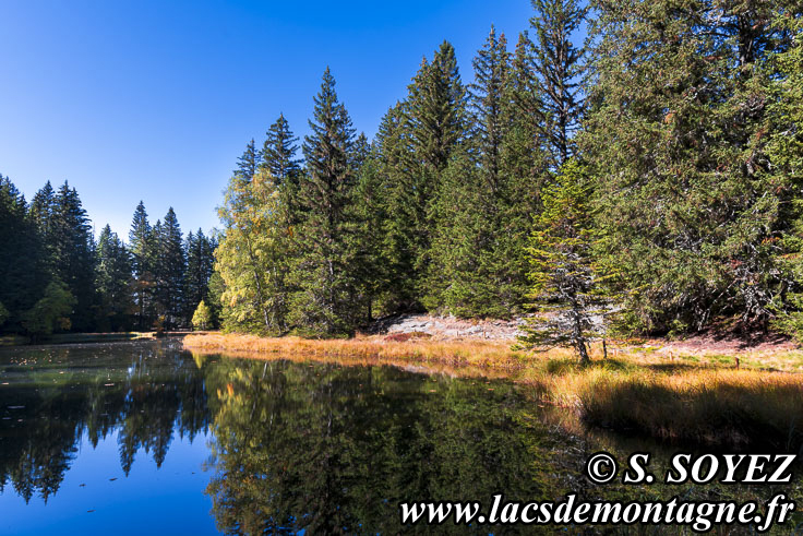 Photo n202310016
Lac Punay (1692m) (Taillefer, Isre)
Clich Serge SOYEZ
Copyright Reproduction interdite sans autorisation