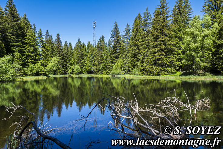 Photo n�202606003
Lac Punay (1692m) (Taillefer, Is�re)
Clich� Serge SOYEZ
Copyright Reproduction interdite sans autorisation