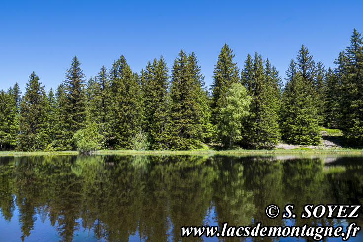 Photo n�202606004
Lac Punay (1692m) (Taillefer, Is�re)
Clich� Serge SOYEZ
Copyright Reproduction interdite sans autorisation