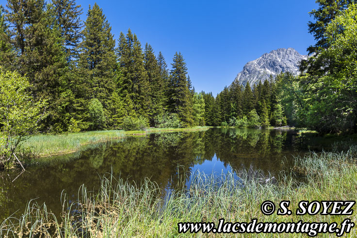 Photo n�202606005
Lac Punay (1692m) (Taillefer, Is�re)
Clich� Serge SOYEZ
Copyright Reproduction interdite sans autorisation
