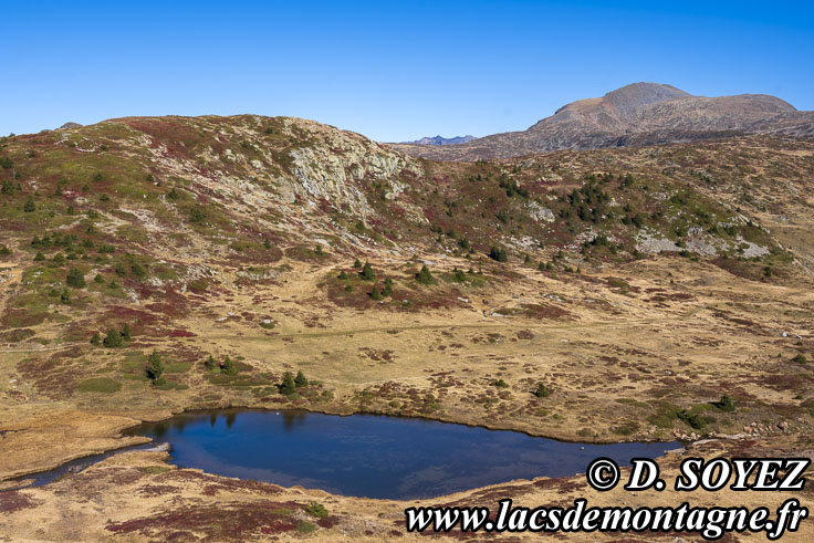 Photo n202510006
Lac de la Veche (2028m) (Taillefer, Isre)
Clich Dominique SOYEZ
Copyright Reproduction interdite sans autorisation