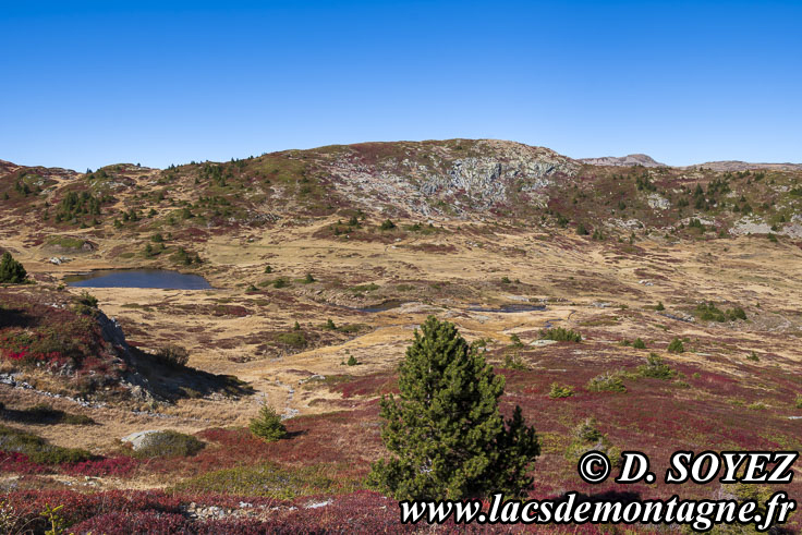 Photo n202510020
Lac de la Veche (2028m) (Taillefer, Isre)
Clich Dominique SOYEZ
Copyright Reproduction interdite sans autorisation