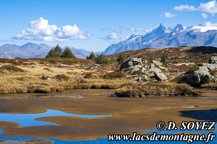 Photo n202510022
Lac de la Veche (2028m) (Taillefer, Isre)
Clich Dominique SOYEZ
Copyright Reproduction interdite sans autorisation
