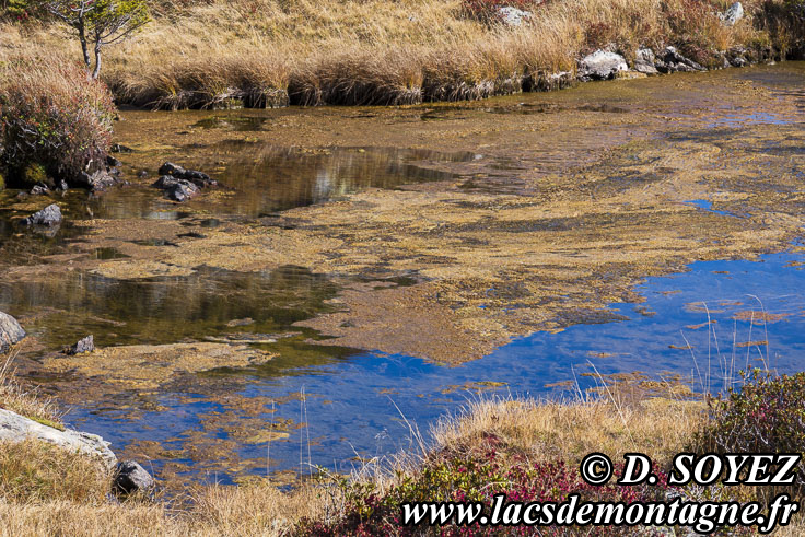 Photo n°202510023
Cliché Dominique SOYEZ
Copyright Reproduction interdite sans autorisation Photo n°202510023
Lac de la Veche (2028m) (Taillefer, Isère)
Cliché Dominique SOYEZ
Copyright Reproduction interdite sans autorisation
