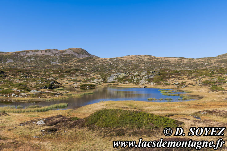 Photo n202309016
Lac du Petit Pr (2099m) (Taillefer, Isre)
Clich Dominique SOYEZ
Copyright Reproduction interdite sans autorisation