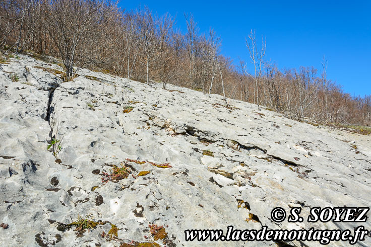 Photo n°201704020
Vallée fossile des Rimets (1070m) (Vercors, Isère)
Lapiaz de calcaire urgonien. 
Cliché Serge SOYEZ
Copyright Reproduction interdite sans autorisation